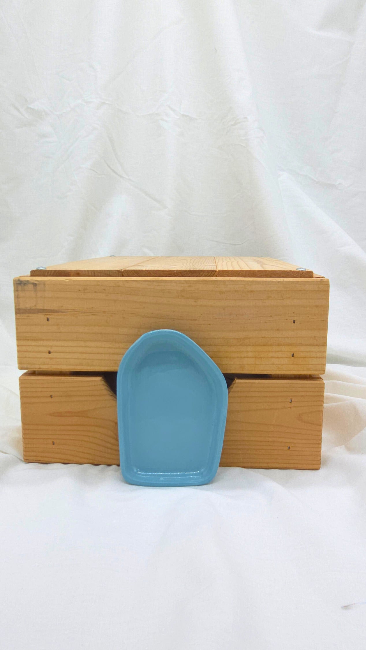 Fragment Dish - Blue