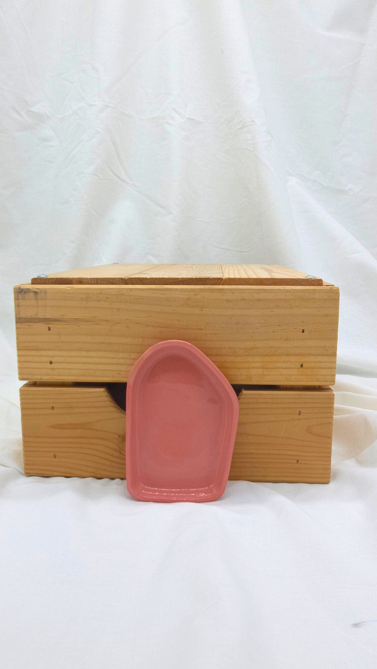 Fragment Dish - Pink