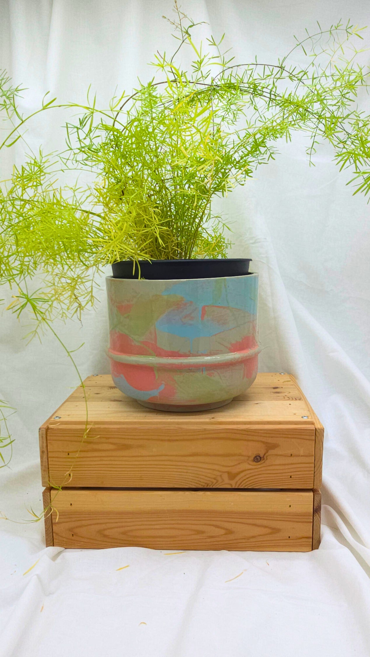 Decorative pot with plants on a wooden block against a white curtain background