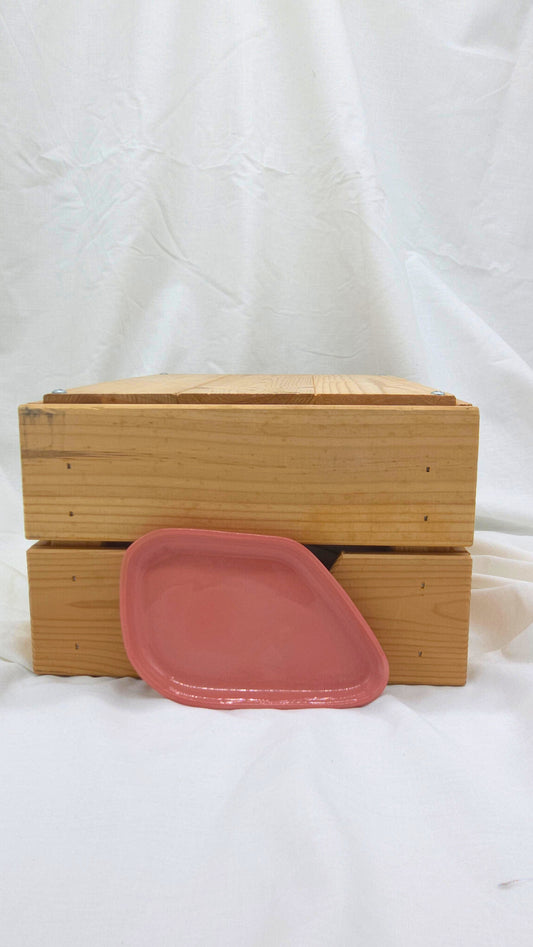 Fragment Dish - Pink
