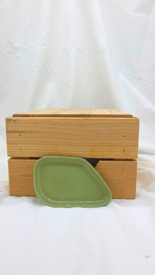 Fragment Dish - Green