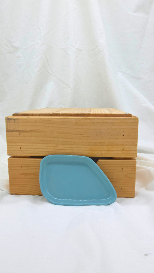 Fragment Dish - Blue