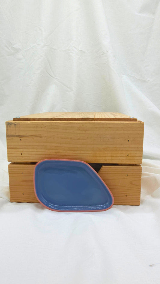 Fragment Dish - Pink and Navy