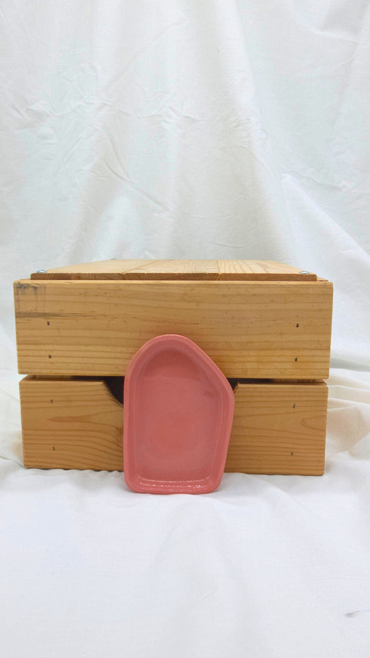 Fragment Dish - Pink
