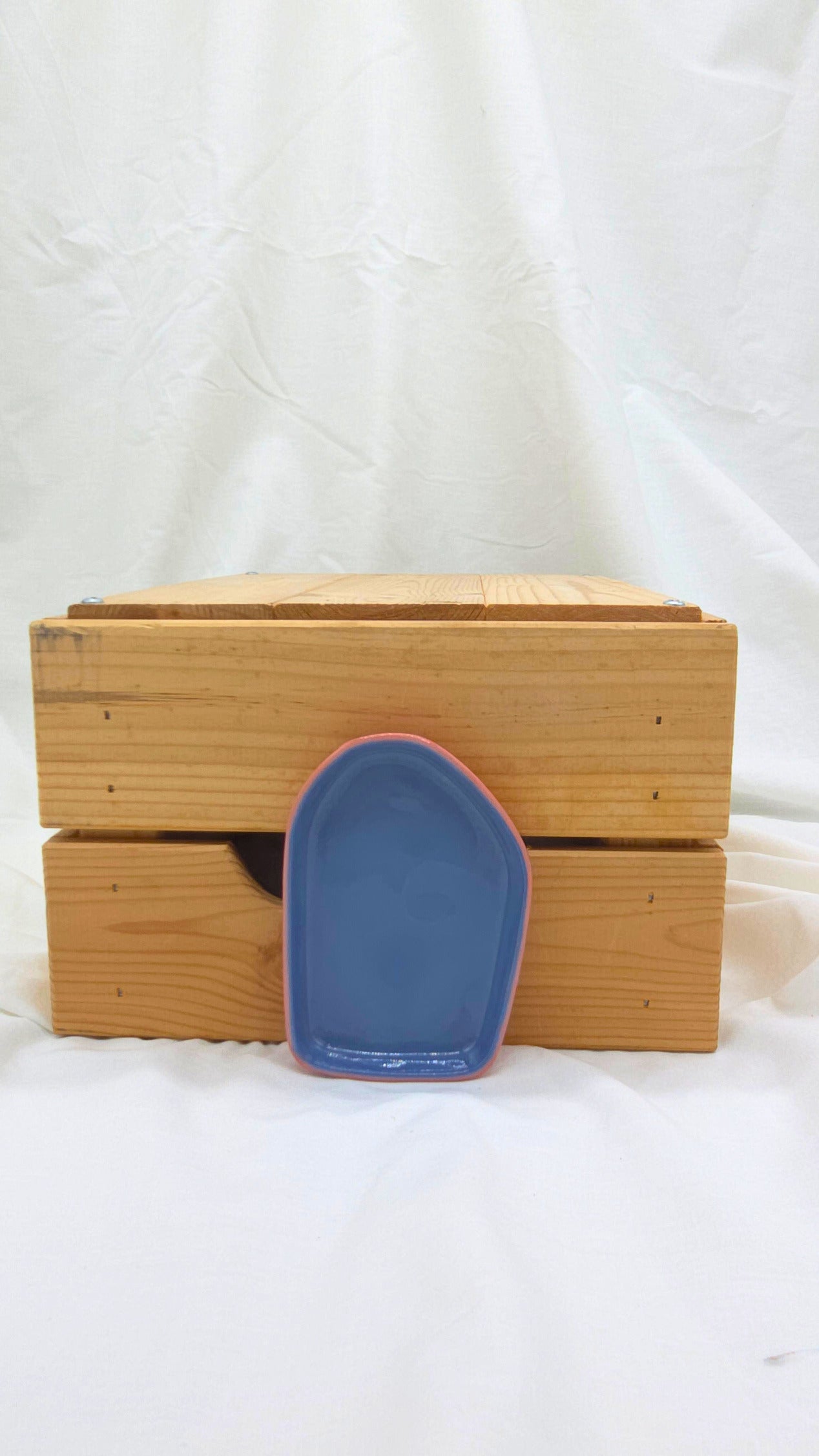 Fragment Dish - Pink and Navy