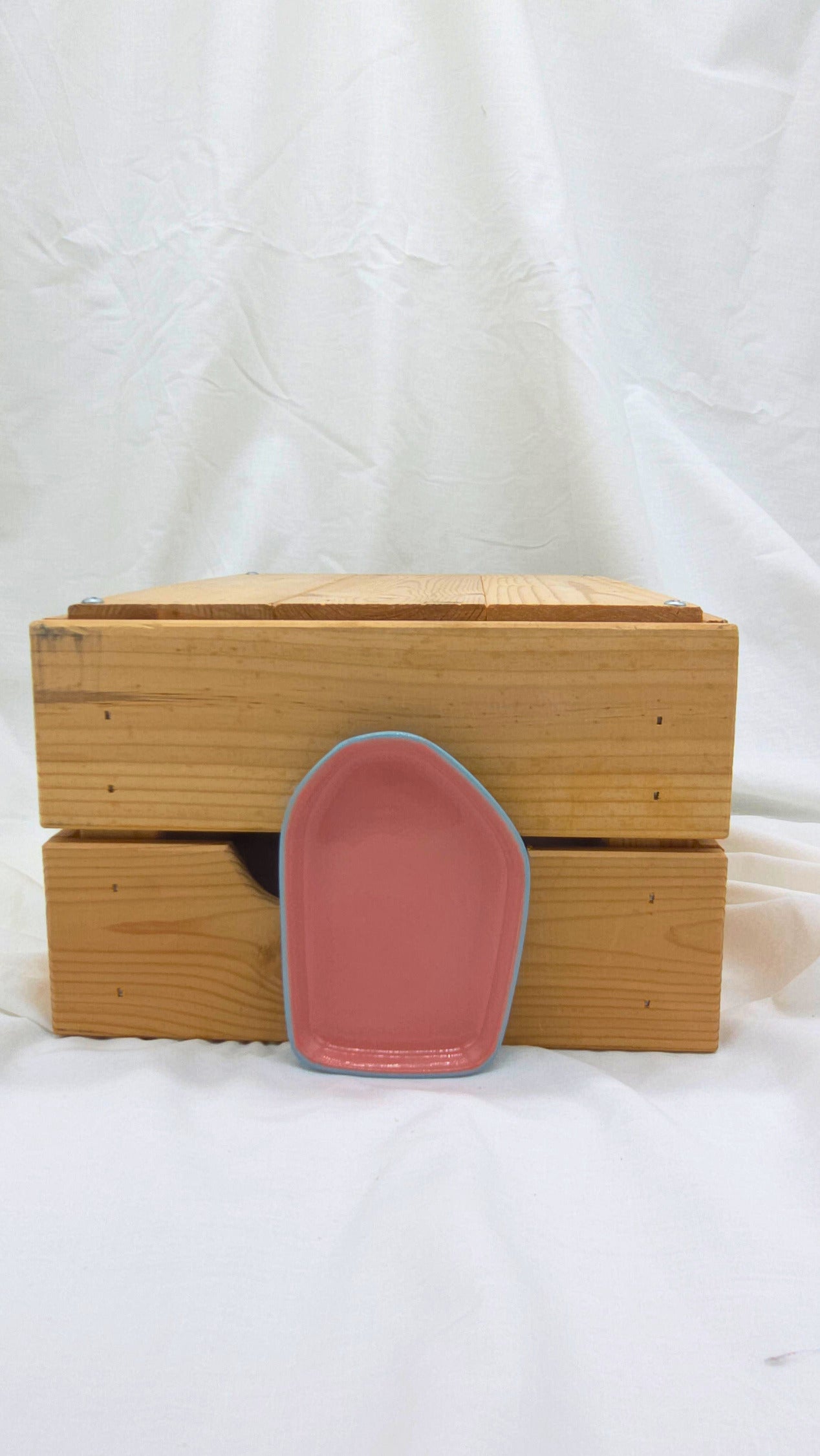 Fragment Dish - Blue and Pink