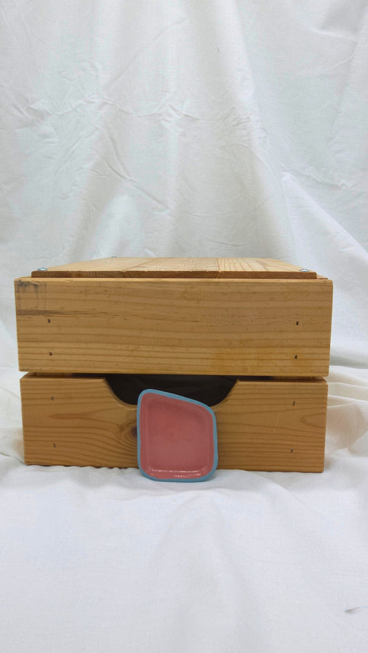 Fragment Dish - Blue and Pink