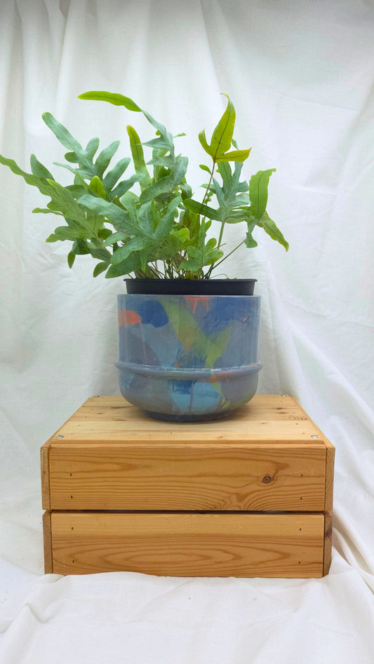 Potted plant on a wooden box with a white background